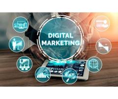 Reef Technologies Top Digital Marketing &amp Web Development Agency in Delhi, India