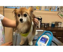 Boulevard Animal Hospital - 3