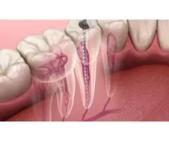 McClane Dentistry - 4