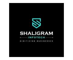 Shaligram Infotech