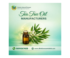 Premium Tea Tree Oil Manufacturers Pure &amp Natural Essential Oils