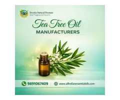 Premium Tea Tree Oil Manufacturers Pure &amp Natural Essential Oils