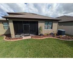 Concrete Lawn Edging Near Vero Beach, FL - 4