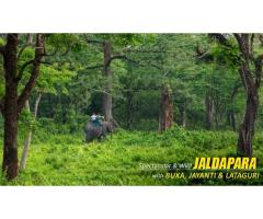 Dooars Tour with Jaldapara Elephant Safari Explore Rhinos, Forests, and River Valleys - 6