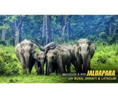 Dooars Tour with Jaldapara Elephant Safari Explore Rhinos, Forests, and River Valleys - 7