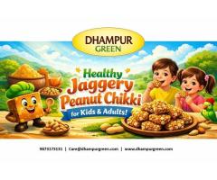 Healthy Jaggery Peanut Chikki for Kids & Adults Dhampur Green