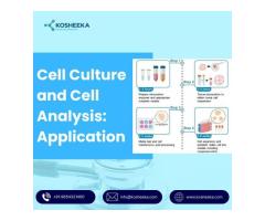 Cell Culture and Cell Analysis Application