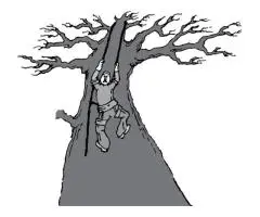 Tree Removal West Jordan UT Safe, Fast & Professional Service