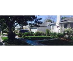 Tree Care Services Sacramento - Sactreecare - 4