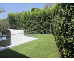 Tree Care Services Sacramento - Sactreecare - 6
