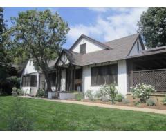 Tree Care Services Sacramento - Sactreecare - 7