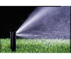 Tree Care Services Sacramento - Sactreecare - 8