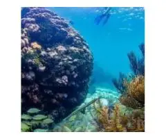 Family Friendly Fun at Rum Point, Cayman Islands Beach