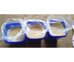 Navi Mumbai Borivali Kurla cashew nuts available wholesaler near me - 4