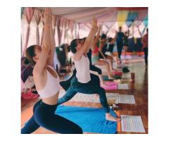 Rishikul Yogshala- Best Yoga School in India - 2