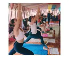 Rishikul Yogshala- Best Yoga School in India - 2