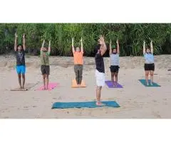 Rishikul Yogshala- Best Yoga School in India - 3
