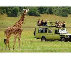 Southern Tanzania Safari