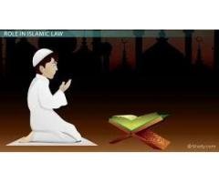 Islamic Astrologer Maulana aslam khan +917300340442 love marriage specialist