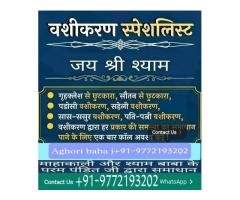 Black magic specialist best astrologer+91-9772193202 - 2