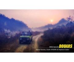 Dooars Tour Package from Kolkata for a Refreshing Nature Retreat