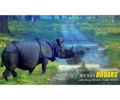 Dooars Tour Package from Kolkata for a Refreshing Nature Retreat - 4