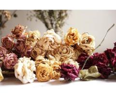 Florists Tired of Inconsistent Stock Try Wholesale Dried Flowers UK