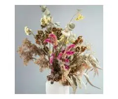 Florists Tired of Inconsistent Stock Try Wholesale Dried Flowers UK - 2