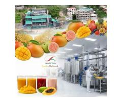 Premium Fruit Pulp & Concentrate Supplier for Global Brands