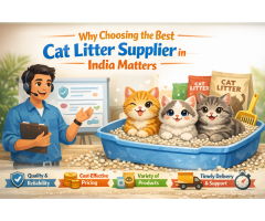 High-Quality Cat Litter Bulk Supply