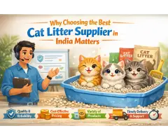 High-Quality Cat Litter Bulk Supply