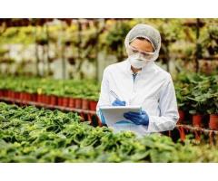 Easy Fda Product Code Lookup With Addis Global Trade