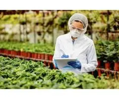 Easy Fda Product Code Lookup With Addis Global Trade
