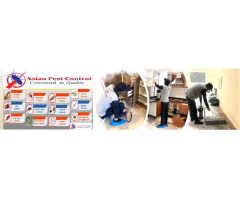 Best & Perfect Pest Treatment Killer Prices