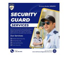 Expert Security Services in Georgia