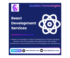 Best React Development Company eLeoRex Technologies