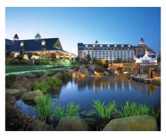 Find the Best Golf Schools Orlando Has to Offer Enroll Now