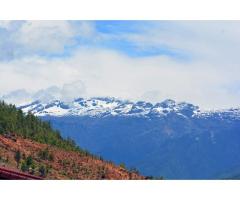 Amazing Bhutan Tour from Bagdogra - 2