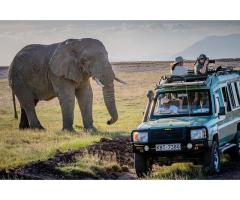 Custom Kenya Tanzania Adventure Safari Tours