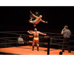 Watch Wrestling Online