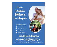 Love Problem Solution in Los Angeles Pandit R K Sharma