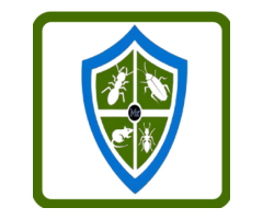 Best pest control in Hyderabad