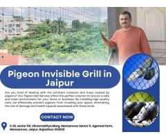 Best Pigeon Invisible Grill in Jaipur at Low Cost
