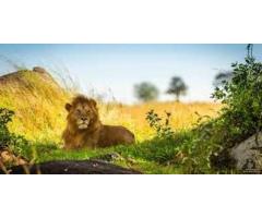 Canada Tour Packages from USA & African Safari Vacations - 3