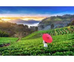 Best Travel Agent in Delhi Spark Holidays