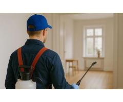 Controle Integrado de Pragas em Lisboa Servi os Especializados da Gestauro