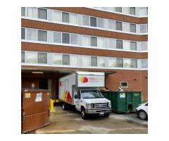 Here &amp Now Movers - 3