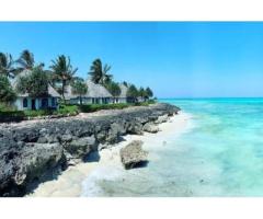 Discover the Best Places to Visit in Zanzibar with Dhow and Jeep Tours Zanzibar - 2