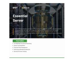 24/7 Essential Server Monitoring Prevent Downtime & Secure Your Infrastructure
