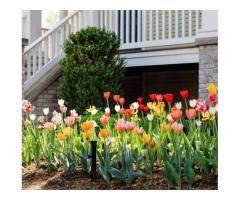 Sydney Garden & Commercial Landscaping - 6